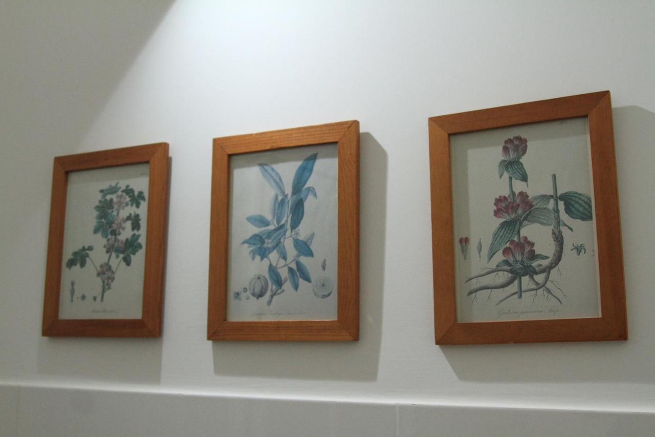 Bed and Breakfast Dal Conte Agropoli Esterno foto